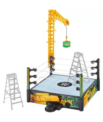 WWE Money in the Bank...