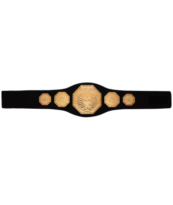 AAA Mega Championship Toy...