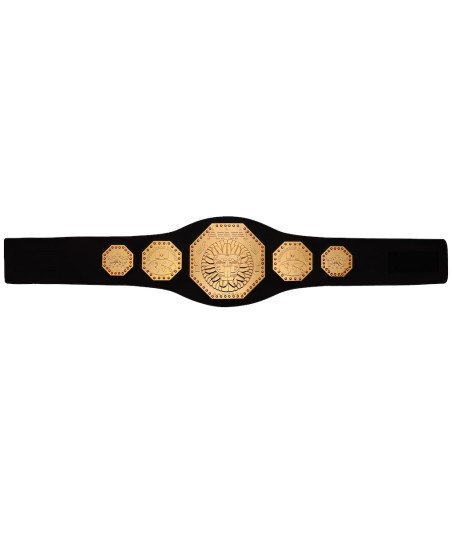 AAA Mega Championship Toy Title Belt