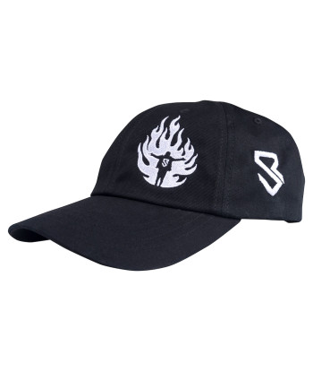 Men's Black Seth Rollins...