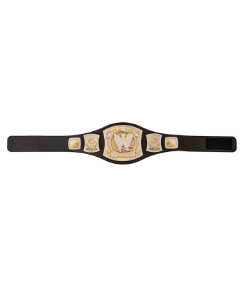 WWE Champion Spinner Toy...