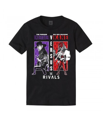 Undertaker vs Kane...