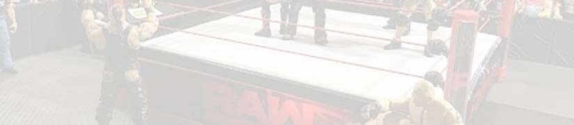 Ringy WWE