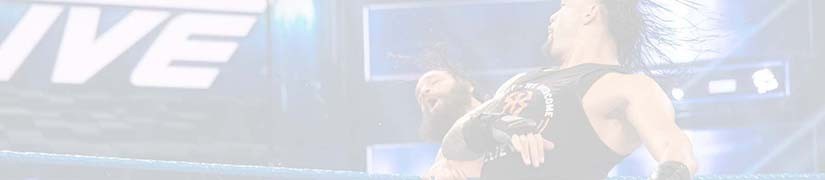 Trička WWE