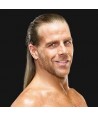 Shawn Michaels